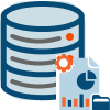 Data Analyst