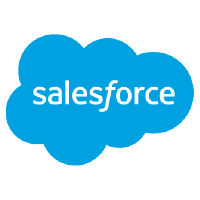 Salesforce Developer