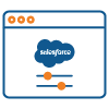 Salesforce Customization
