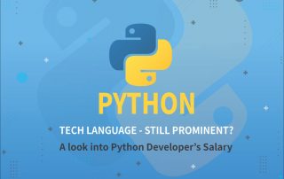 Python, the Language of Tech – Still prominent? – A look into Python Developer’s Salary