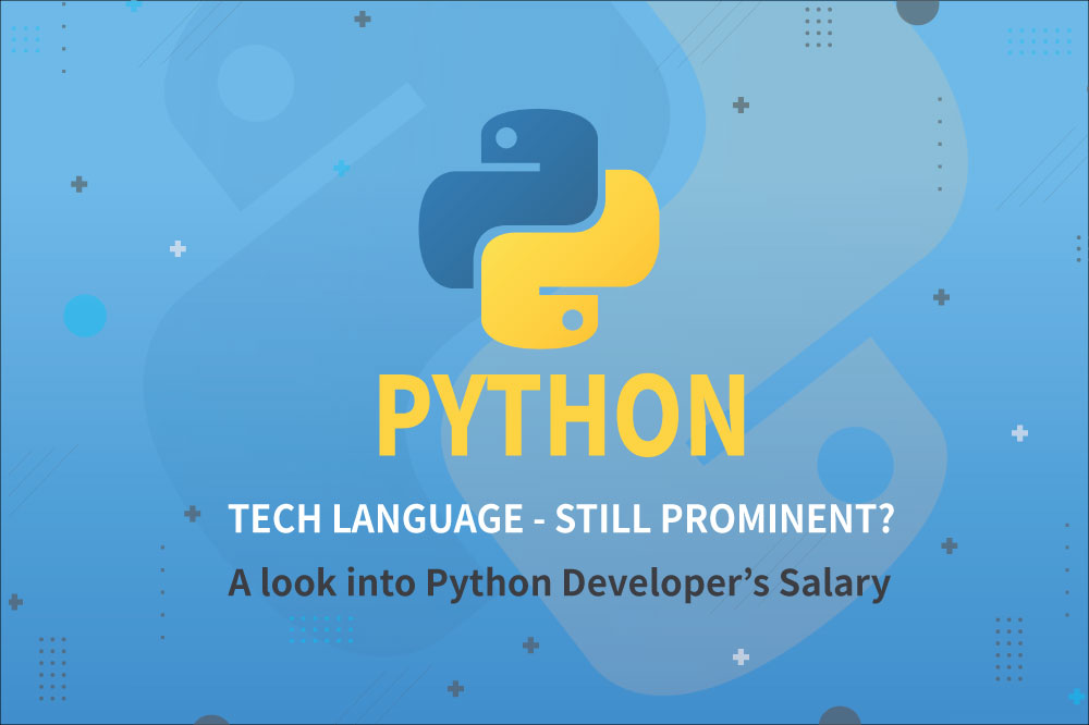 Python, the Language of Tech – Still prominent? – A look into Python Developer’s Salary