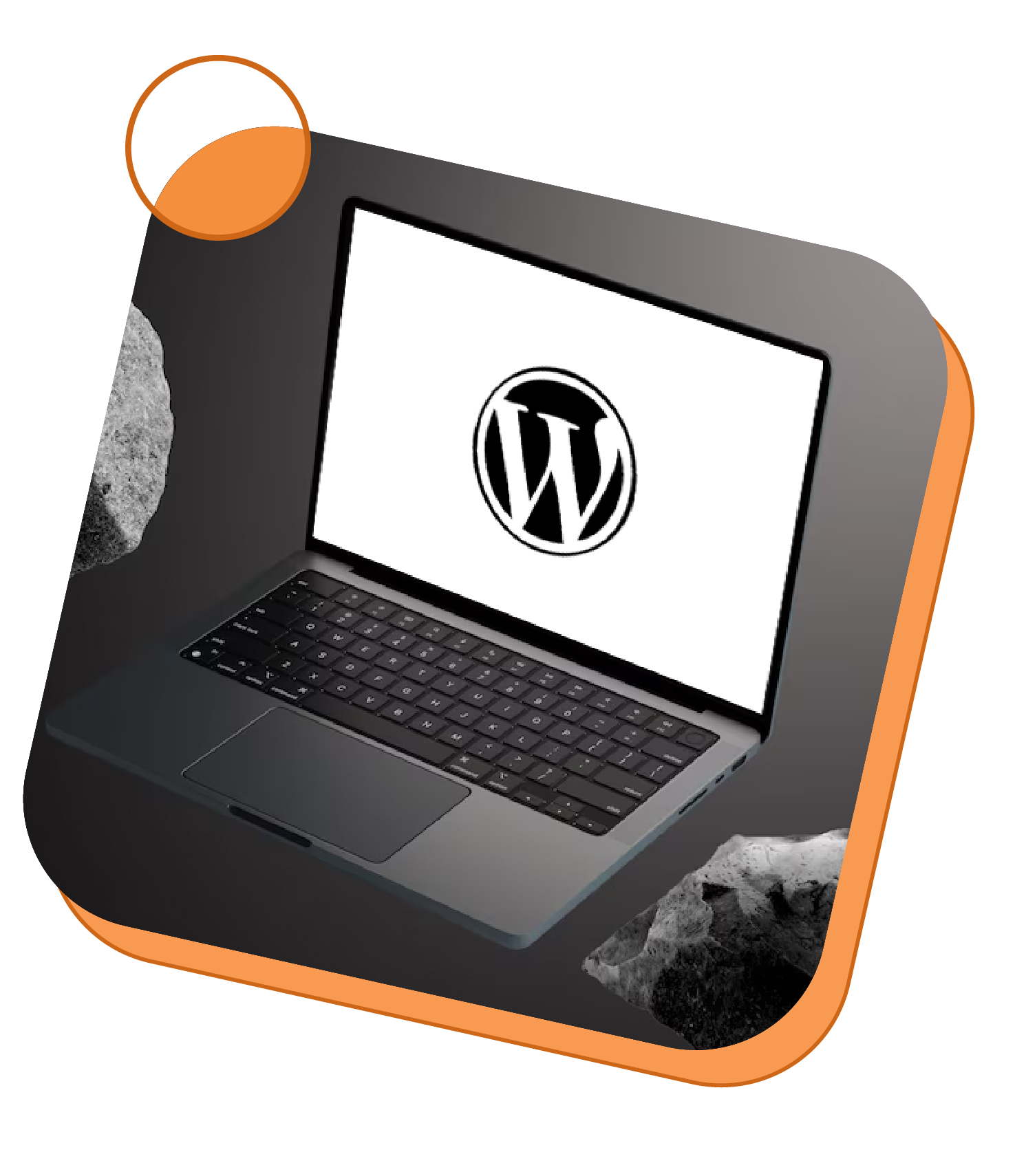 Expert WordPress Development Expert-WordPress-Development