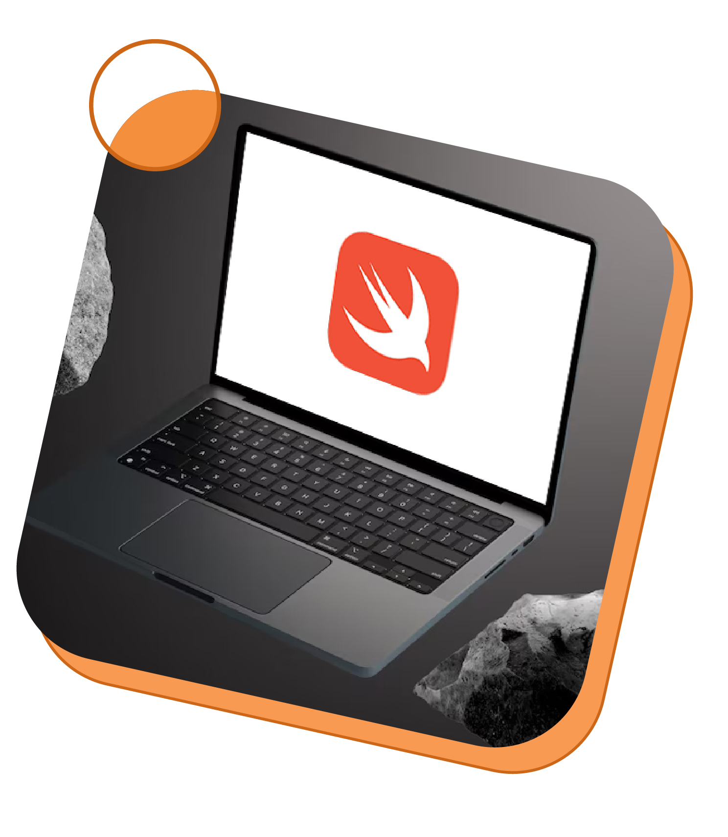 Swift development Swift-development