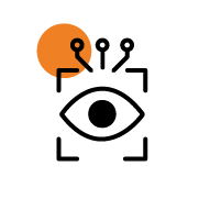 Real-Time-Vision-Systems